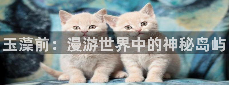 age动漫