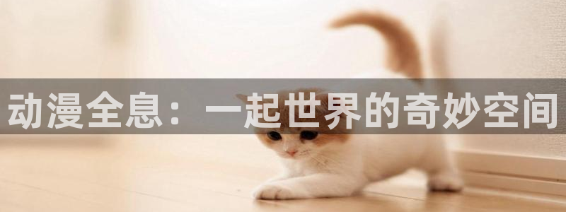 age动漫专注动漫的门户网站