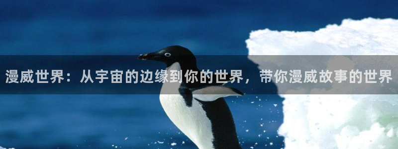 拷贝漫画 copymanager.ory网站