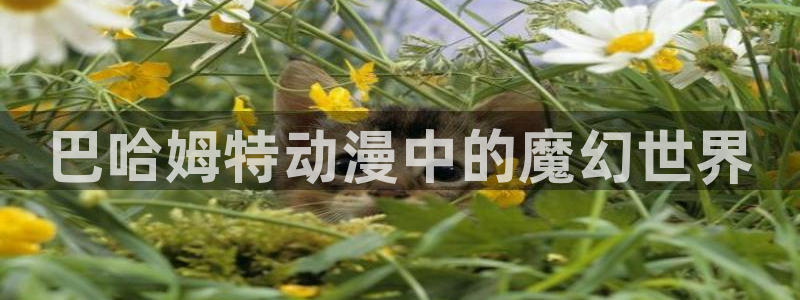 age动漫樱花：巴哈姆特动漫中的魔幻世界