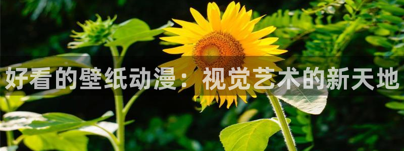 age专注动漫的门户网站