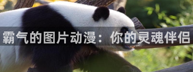 age动漫下载
