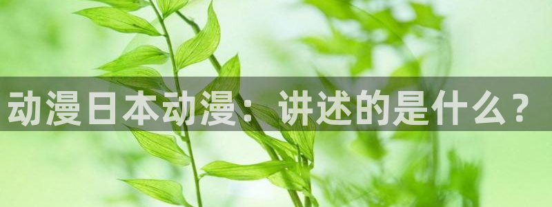 age动漫网官网入口