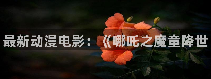 managereader漫画官网入口：最新动漫电影：《哪吒之魔童降世
