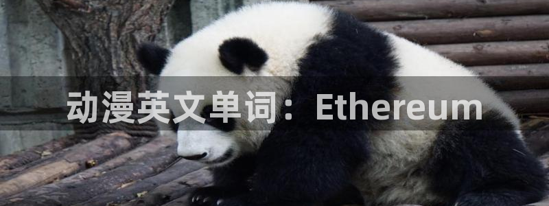 age动漫下载动漫全免费