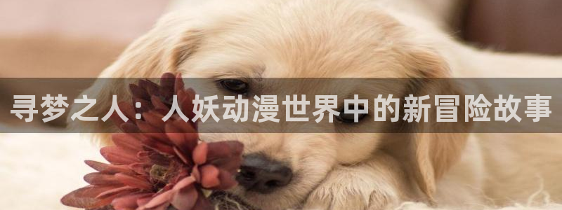 age动漫专注动漫的门户网站