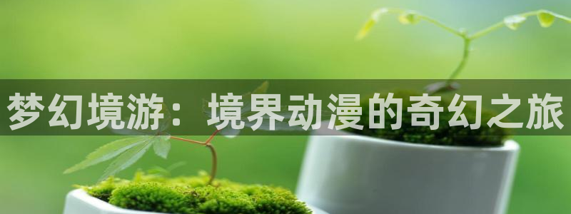 age动漫网上看