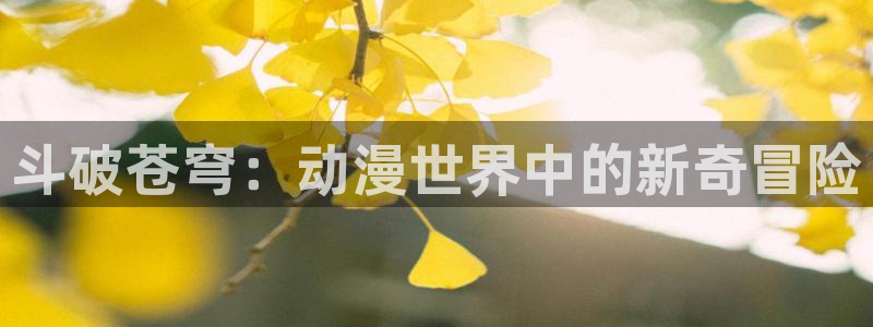 age动漫官网入口老版本