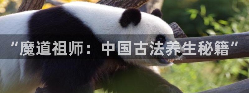 age动漫网上看