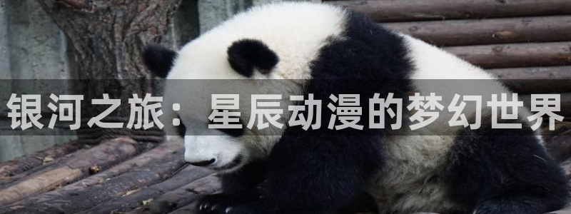age动漫网上看：银河之旅：星辰动漫的梦幻世界