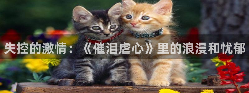 colamanage漫画下载