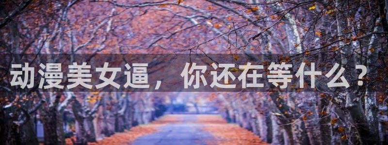 age动漫樱花