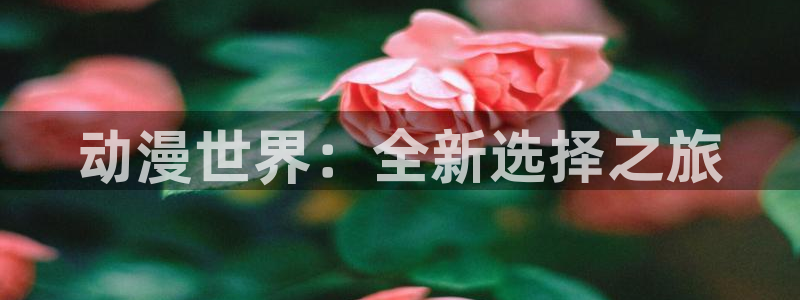 age动漫下载动漫全免费