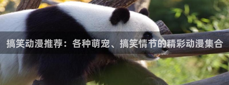 age动漫官网网址
