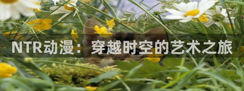 age动漫网
