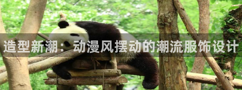 age动漫网下载