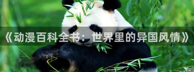 age动漫正版网