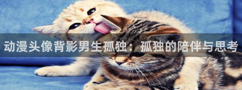 kakaopage韩漫官网：动漫头像背影男生孤独：孤独的陪伴与思考