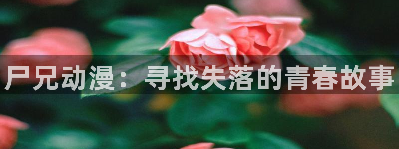 age樱花动漫：尸兄动漫：寻找失落的青春故事