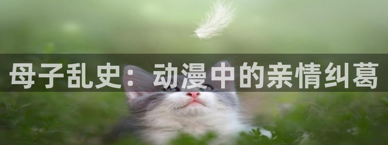 age动漫官网入口老版本：母子乱史：动漫中的亲情纠葛
